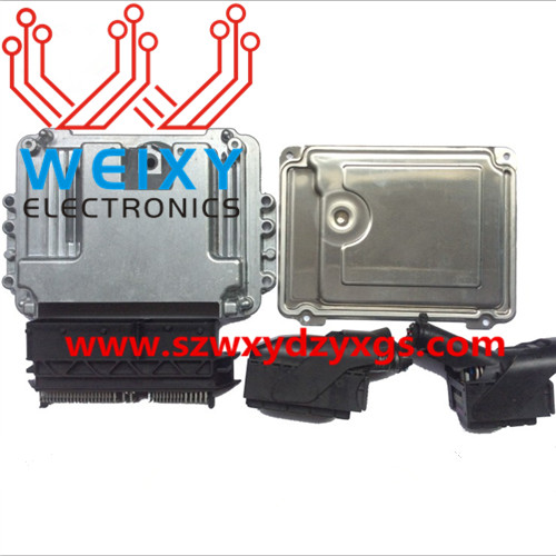 Plug for DELPHI ECU shell, 73 PIN
