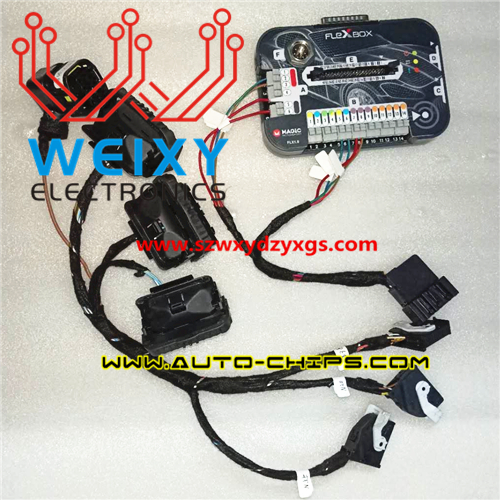 N13,N20,N55,B38 DME cables specially designed to work with magicmotorsport flex