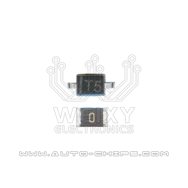 T5 2PIN & 0 ohm resistor for Porsche BCM