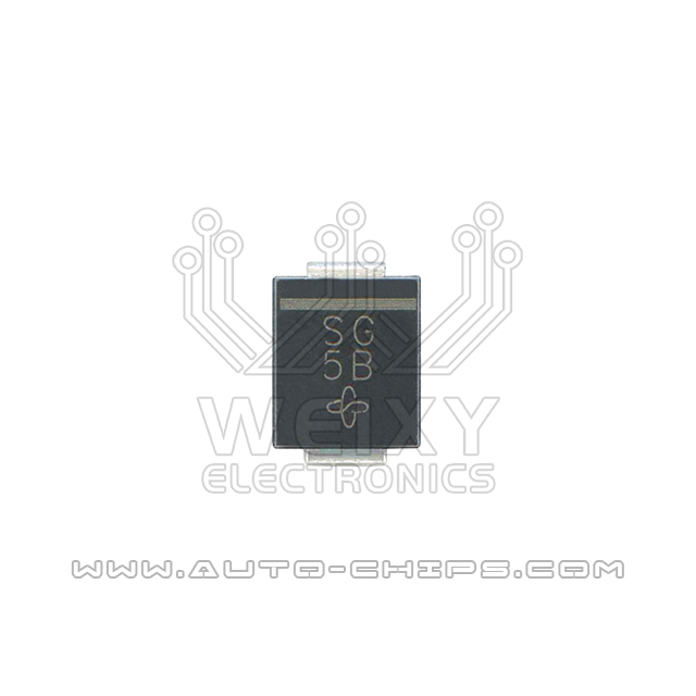 SG 2PIN chip use for automotives